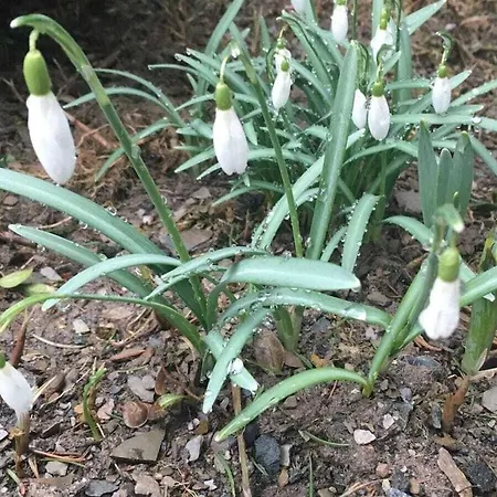 Mountain And Views Будинок відпочинку