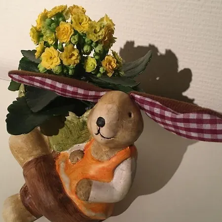 Будинок відпочинку Mountain And Views