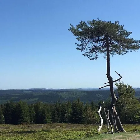 Будинок відпочинку Mountain And Views