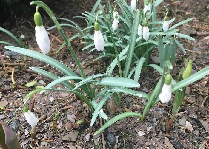 Mountain And Views Holiday home