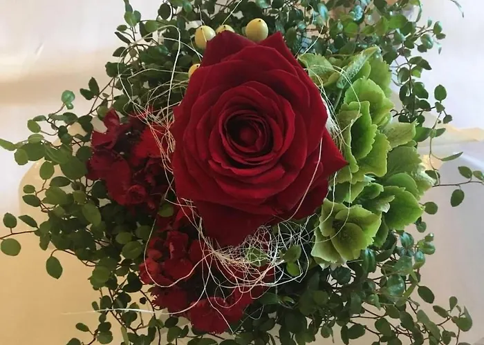 Mountain And Views * Winterberg